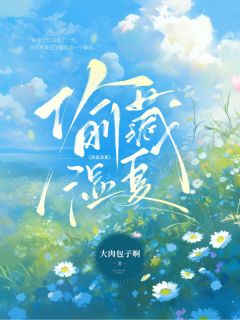抖音爆款偷藏湿夏小说免费阅读