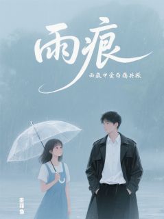 主角沈砚林晚小说完整版最新章节-雨痕：听雨和你心跳的分贝免费阅读全文