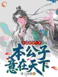 小富即安？不，本公子意在天下无广告阅读 陈小富安小薇免费在线阅读