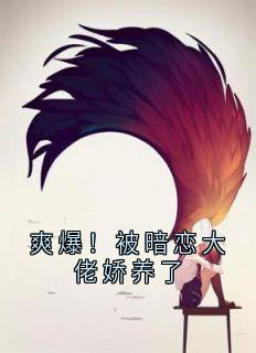 宋招与沈未归完整未删减版在线阅读 宋招与沈未归结局