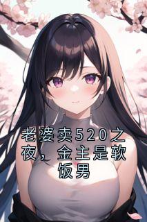 精品小说老婆卖520之夜，金主是软饭男全文目录畅读