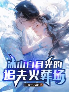 冰山白月光的追夫火葬场小说的书名是什么