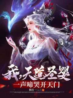 我，天道圣婴，一声啼哭开天门小说(完结)-叶轩叶擎苍无删减阅读