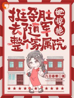 快手热推挺孕肚去随军，她惊艳整个家属院小说主角宋今越西风烈在线阅读