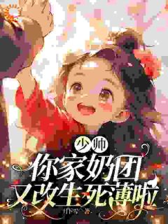 少帅，你家奶团又改生死薄啦厉绵绵厉寒铮-月下雪小说