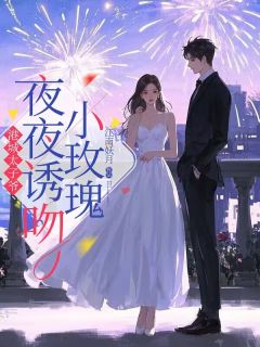 港城太子爷，夜夜诱吻小玫瑰全文目录-苏北茉墨南坤小说无弹窗阅读