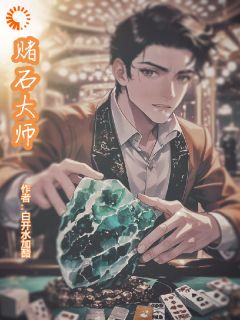 赌石大师(白开水加醋)最佳创作小说全文在线阅读