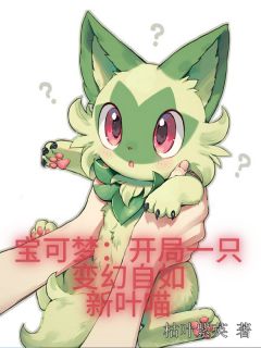 宝可梦：开局一只变幻自如新叶喵(洛枫新叶喵)小说全章节目录阅读