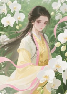 冷面侍卫的小郡主小说-沈鄢豫王全篇阅读