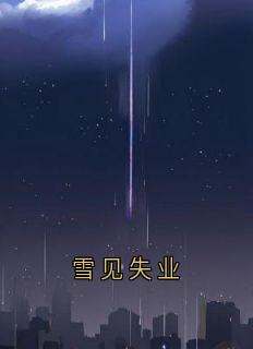 好书推荐雪见失业沈清砚赵慕颜全文在线阅读