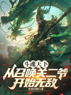 抖音小说斗魂天下，从召唤关二爷开始无敌主角陆辰关羽全文小说免费阅读-暗夜阅读网