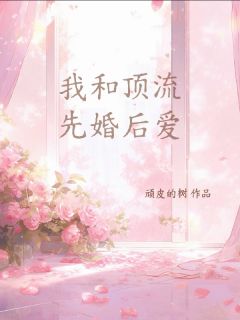 我和顶流先婚后爱全集小说_宋颂岑砚完结版阅读