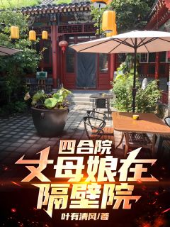 四合院：丈母娘在隔壁院免费阅读全文，主角林阳林月叶倾城小说完整版最新章节