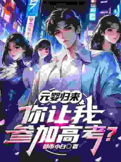 元婴归来，你让我参加高考？(苏北林风)全文章节在线阅读-暗夜阅读网