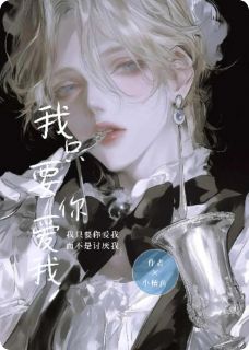 我只要你爱我小说在线阅读，主角宁远岑曦精彩段落最新篇