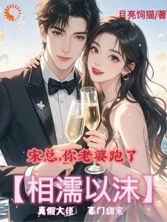 宋总，你老婆跑了【相濡以沫】小说的书名是什么