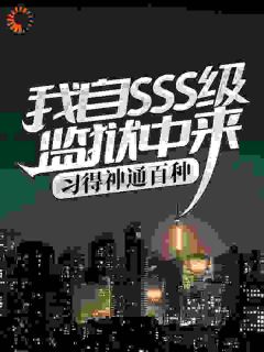 盛世狼烟写的小说我自SSS级监狱中来，习得神通百种叶辰陆雪琪全文阅读