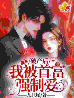 破产后，我被首富强制爱小说全集(沈卿卿宫明诀)无弹窗广告阅读