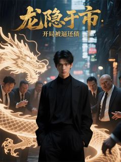 龙隐于市：开局被逼还债在线全文阅读-主人公苏辰刘明远小说