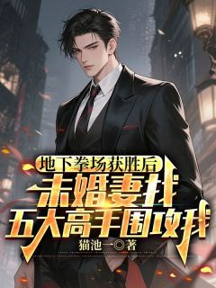 地下拳场获胜后，未婚妻找五大高手围攻我(新书)小说_林然楚珩阅读
