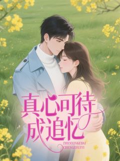 真心可待成追忆时予安谢昭临小说完整在线阅读