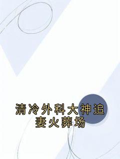 清冷外科大神追妻火葬场小说最后结局，夏欲晚江厌百度贴吧小说全文免费