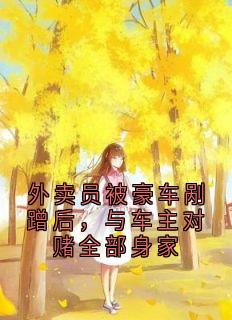外卖员被豪车剐蹭后，与车主对赌全部身家全集小说_王子恒杜落落完结版阅读