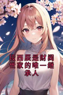 段西辰是财阀世家的唯一继承人段西辰莫雪凝-小说txt全文阅读