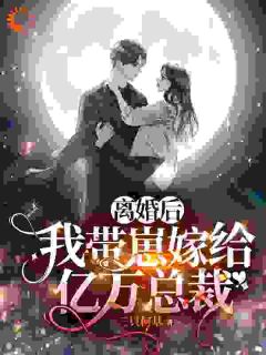 离婚带崽闪婚，老公竟是财阀大佬小说(完结)-苏晓慧靳言章节阅读-暗夜阅读网