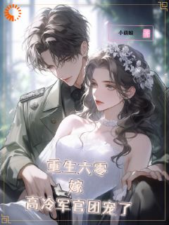 重生六零，嫁高冷军官团宠了叶牧陆铭辉-小说未删减阅读