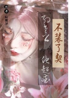 主角沈确江晚小说完整版-不装了！！契约老公他超爱免费阅读全文