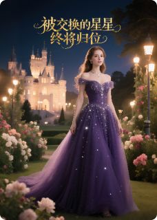 被交换的星星终将归位完整版-苏棠顾宴沈砚在线全文阅读-暗夜阅读网