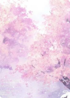 夫君他娶平妻后，我飞升了裴行姜淼无广告在线阅读-暗夜阅读网