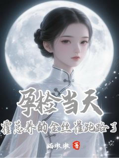 孕检当天，霍总养的金丝雀跑路了林昭音霍凛大结局在线阅读