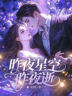 昨夜星空昨夜逝沈棠梨历墨渊by安饶免费看