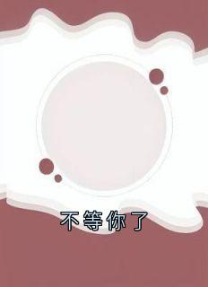 不等你了小说(完结)-沈念陆京泽沈烟无删减阅读-暗夜阅读网