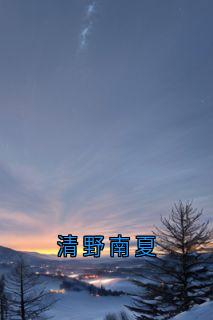 清野南夏小说(完整版)-周淮南乔望舒傅时修章节阅读-暗夜阅读网