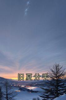 快手旧夏分手小说全本章节大结局-暗夜阅读网