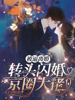 被逼离婚，转头闪婚京圈大佬抖音全本小说沈南栀秦经纬抖音免费章节阅读