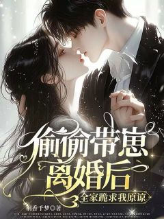 抖音热推小说偷偷带崽离婚后，全家跪求我原谅全文在线阅读
