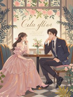 苏念安陆砚辞结局是什么 苏念安陆砚辞免费阅读全文-暗夜阅读网