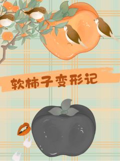 全章节小说软柿子变形记晓晓爱吃鱼最新阅读