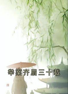举案齐眉三十载精彩小说-举案齐眉三十载目录阅读-暗夜阅读网