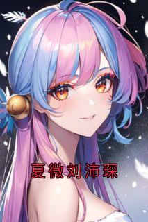 夏微刘沛琛小说免费阅读 夏微刘沛琛大结局完整版