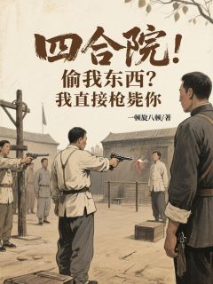 一顿旋八顿写的小说四合院：偷我东西？我直接枪毙你在线阅读