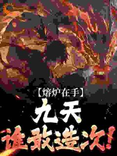 熔炉在手，九天谁敢造次！在线全文阅读-主人公夏宇夏鸿纪小说
