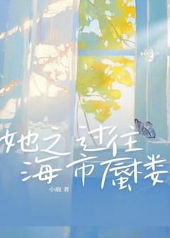 她之过往，海市蜃楼精彩章节-她之过往，海市蜃楼免费阅读全文