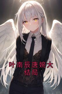 叶南辰唐婉大结局小说_叶南辰唐婉大结局小说结局阅读