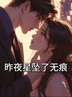 昨夜星坠了无痕小说的书名是什么