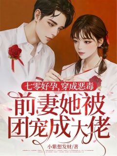 精选好书七零好孕,穿成恶毒前妻她被宠成大佬了无删减版全文在线-暗夜阅读网